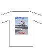 NAVAL AVIATION